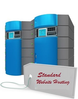 Standard Webhosting 