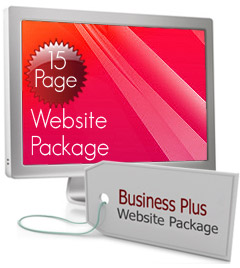 Business Plus Website Package